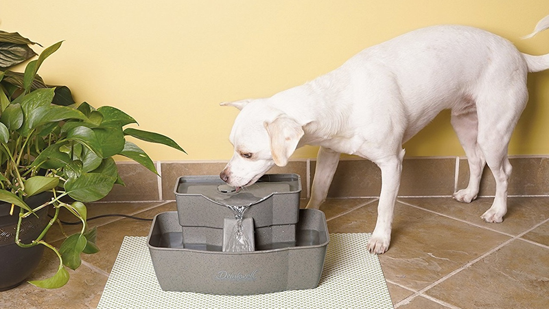 PetSafe Drinkwell, $31